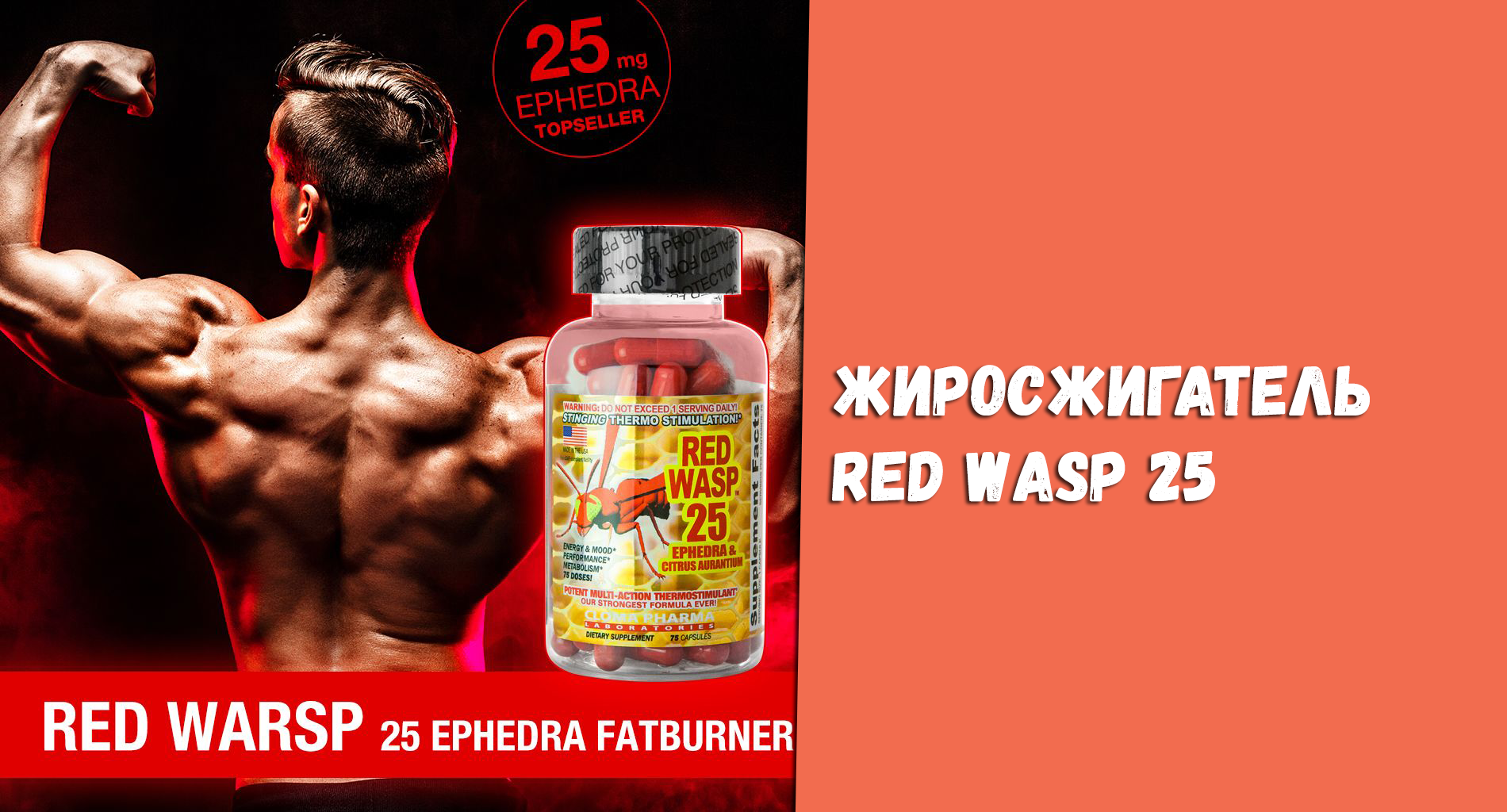 Жиросжигатель red wasp cloma pharma - как принимать?