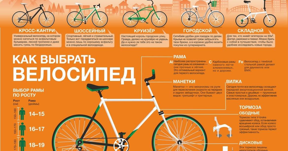 Как выбрать велосипед, советы по выбору велосипеда