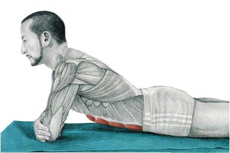Растяжка пресса: 7 упражнений чтобы растянуть мышцы живота