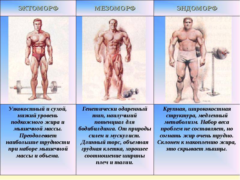 Как мужчине и женщине определить свое телосложение?
