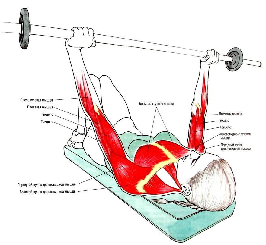 Как накачать внутреннюю часть грудных мышц: топ-7 упражнений и подробное видео | бомба тело