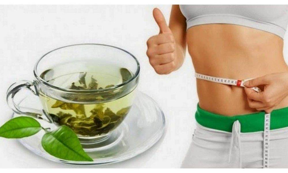 Зелёный чай для похудения: помогает ли, как влияет на организм, как правильно пить, рецепт с лимоном, с лавровым листом, обзор отзывов