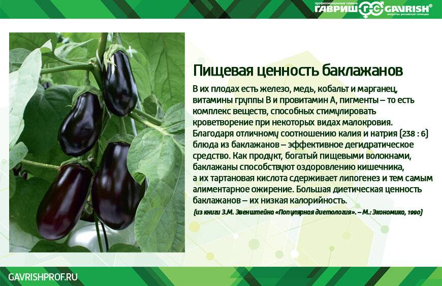 Баклажаны