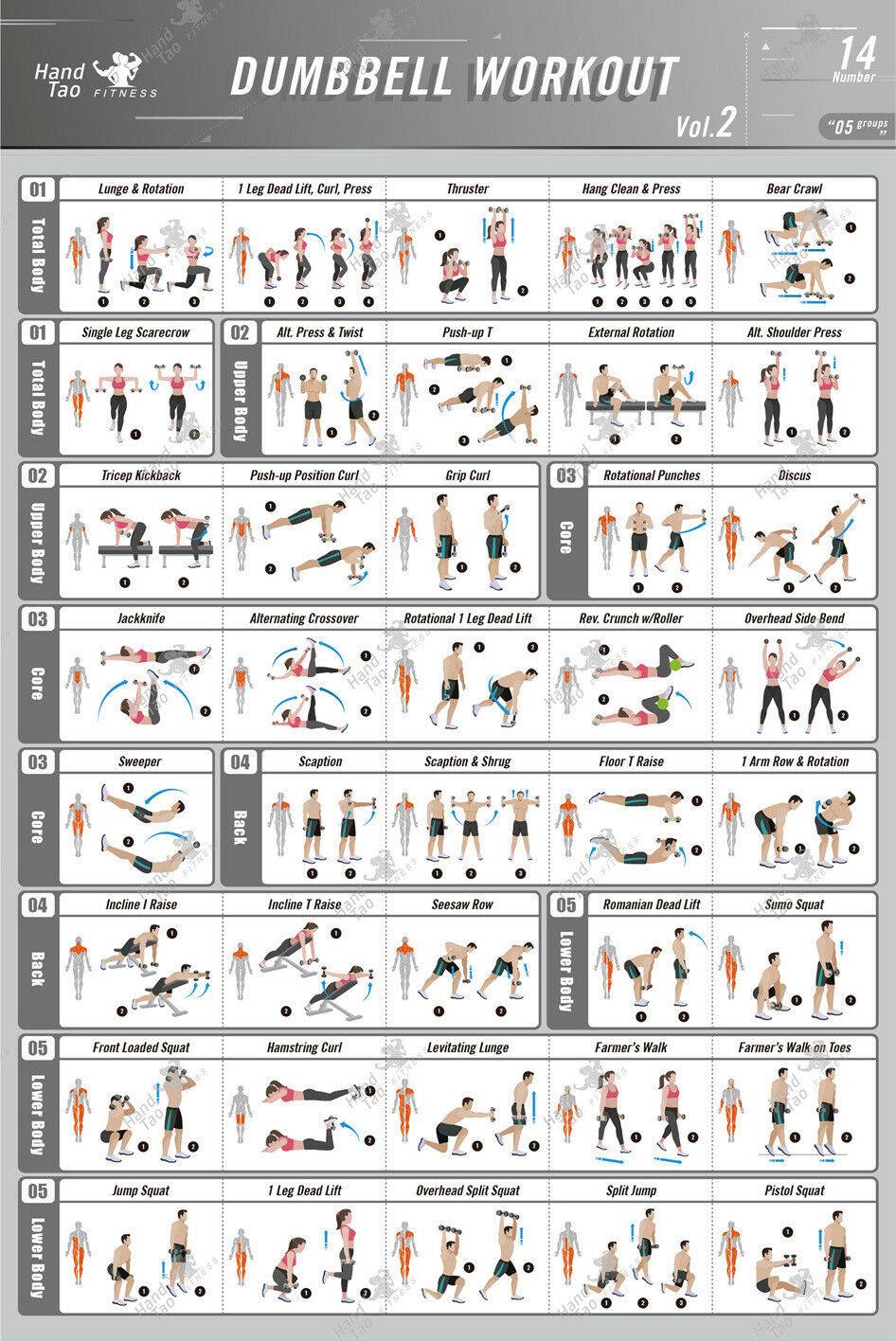 Плакат Dumbbell Workout