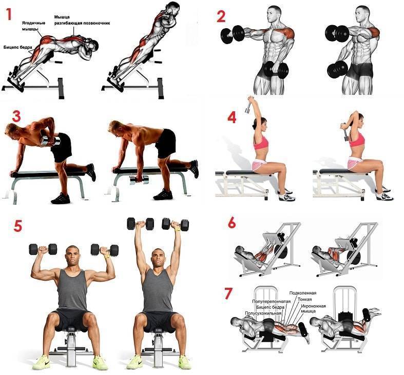 Лучшие упражнения для мышц спины. как накачать спину