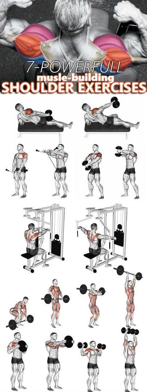 Упражнения на плечи в тренажерном зале и домашних условиях с гантелями