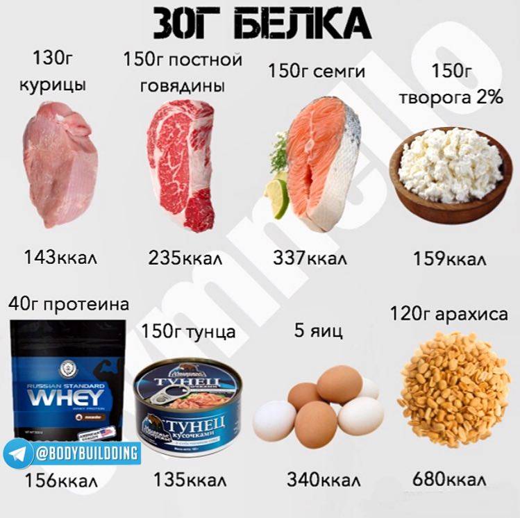 30 граммов белка в пище
