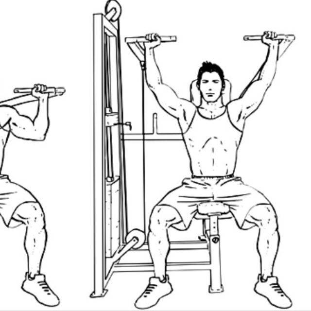 Армейский жим - упражнение для мышц плечевого пояса