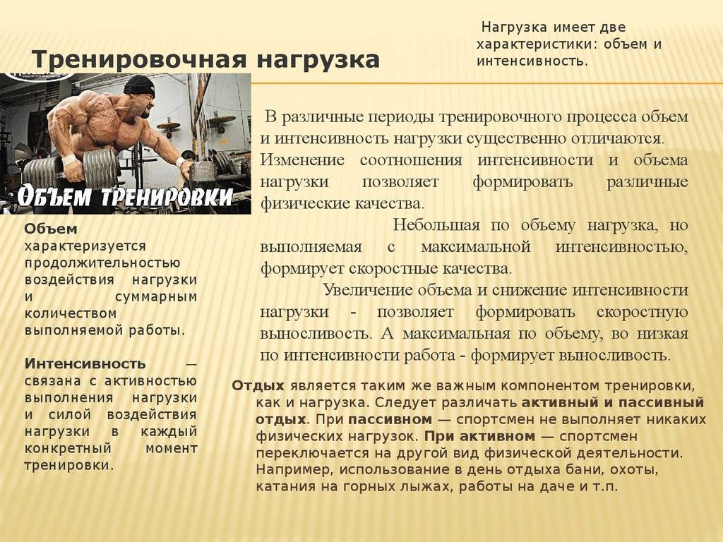 Физиология спортивных нагрузок и построение плана тренировок