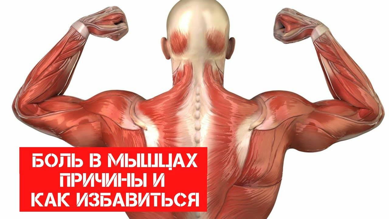 Как избавиться от боли в мышцах после тренировок и физических нагрузок: несколько полезных советов | официальный сайт – “славянская клиника похудения и правильного питания”