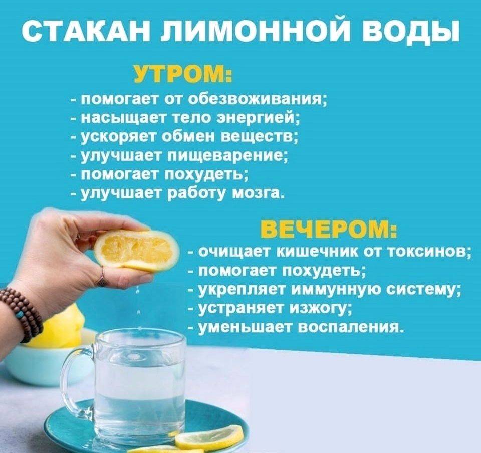 Вода с лимоном ???? польза и вред, как и сколько пить, как сделать лимонную воду