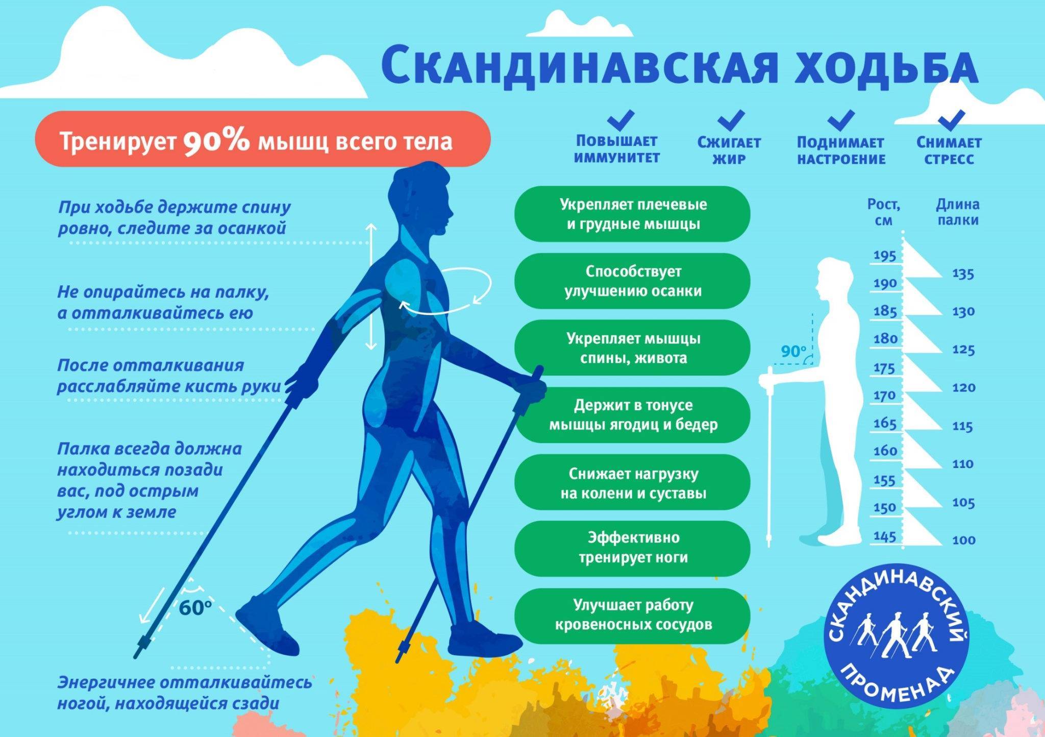 Чем полезна ходьба пешком для здоровья?