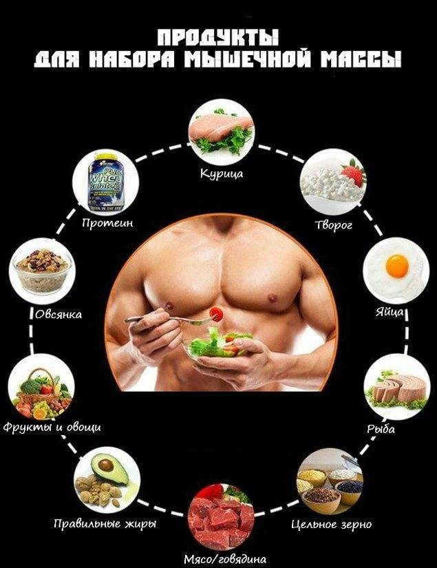 Правильный план питания для набора мышечной массы мужчине