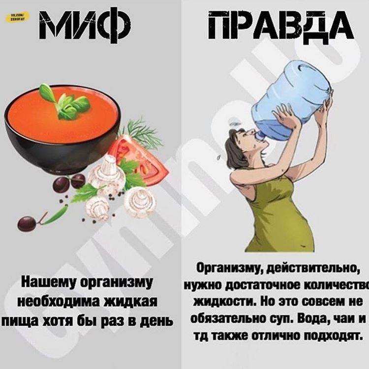 10 мифов о правильном питании / в которые пора перестать верить – статья из рубрики "здоровая еда" на food.ru