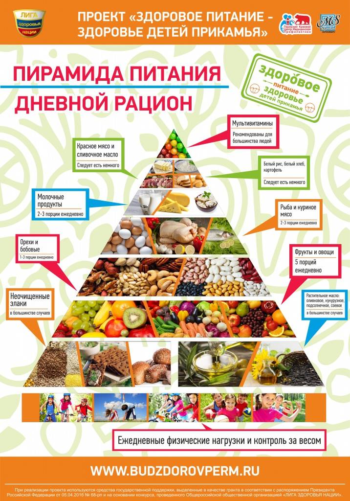 Пирамида здорового питания человека для правильного рациона и похудения: продукты пищевого треугольника для мужчин, женщин, детей