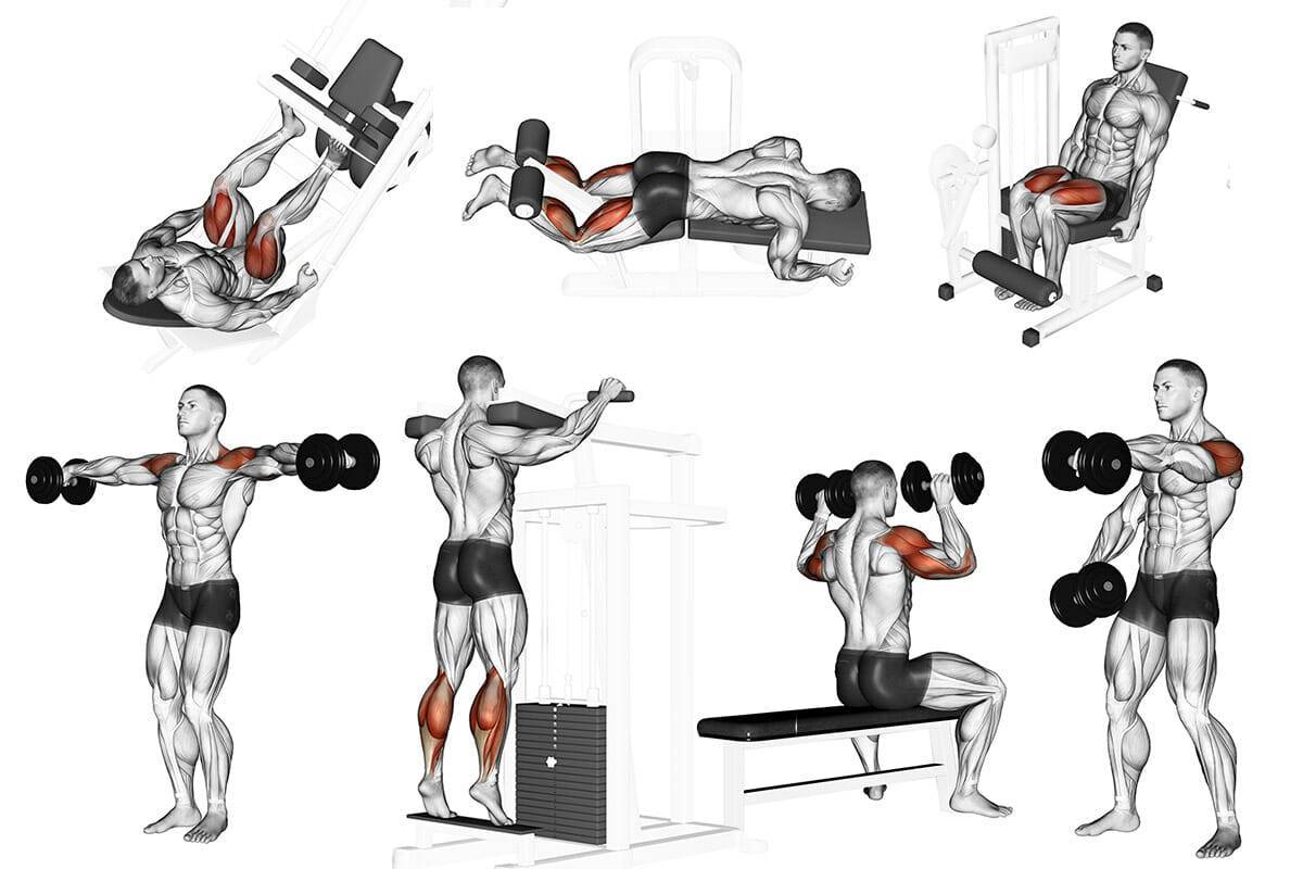 Мышцы крылья на спине: как накачать, какие упражнения нужны для мужчин в домашних условиях и спортивном зале