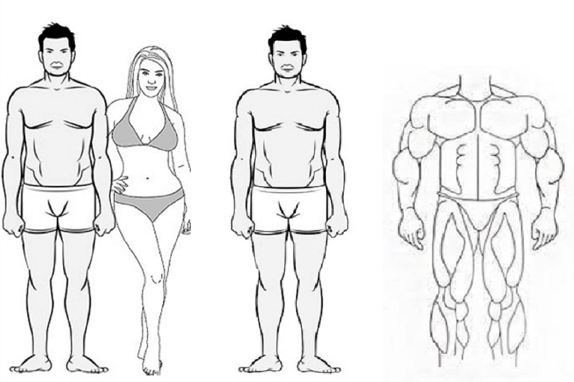 Как питаться и тренироваться в зависимости от типа телосложения?