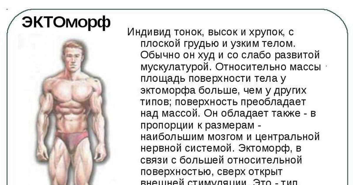 Подполье 27. как накачаться толстяку (эндоморфу) ⋆ сайт камрадов