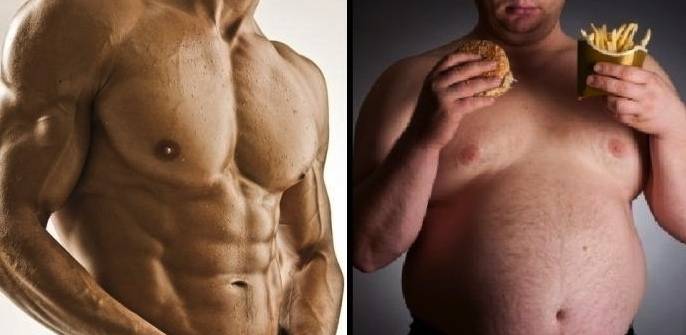 Как превратить жир в мышцы? все тонкости и секреты!