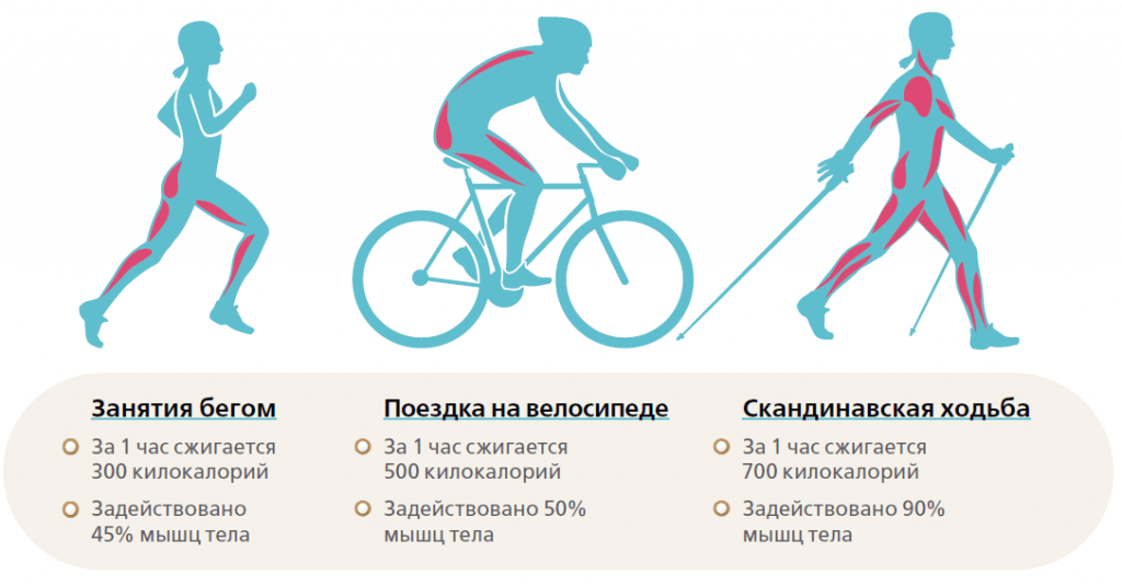 Какие мышцы работают при езде на велосипеде - обзор от fitnessera.ru