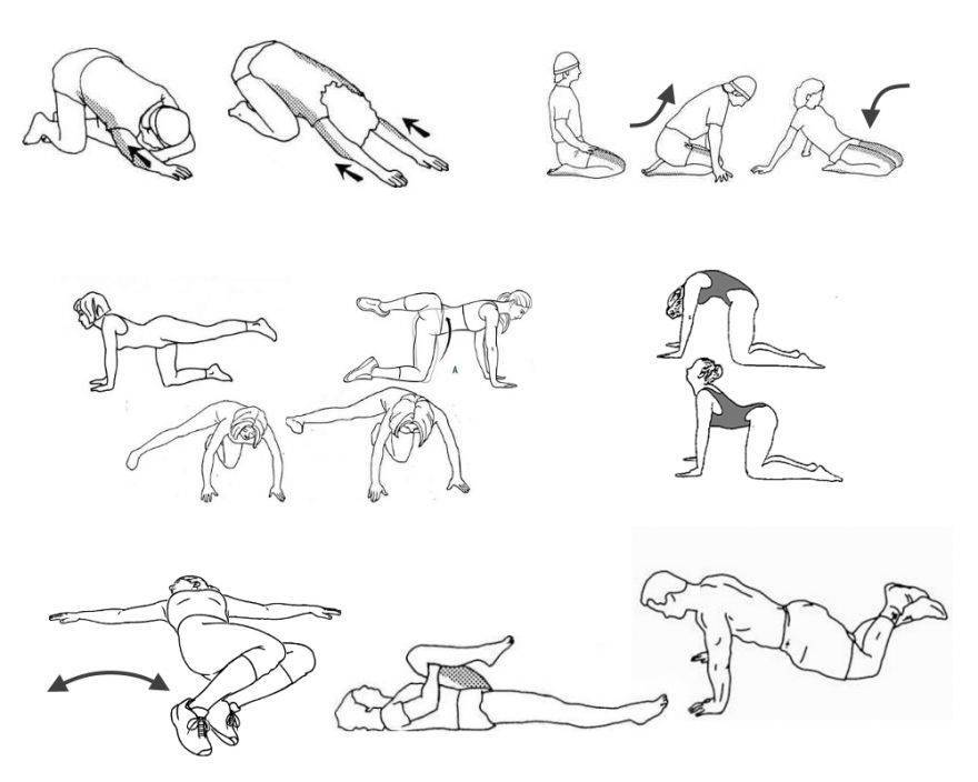 Упражнения при протрузии: гимнастика и лфк | здравствуй