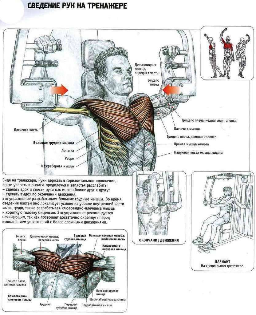 Как накачать верхнюю часть грудных мышц!
