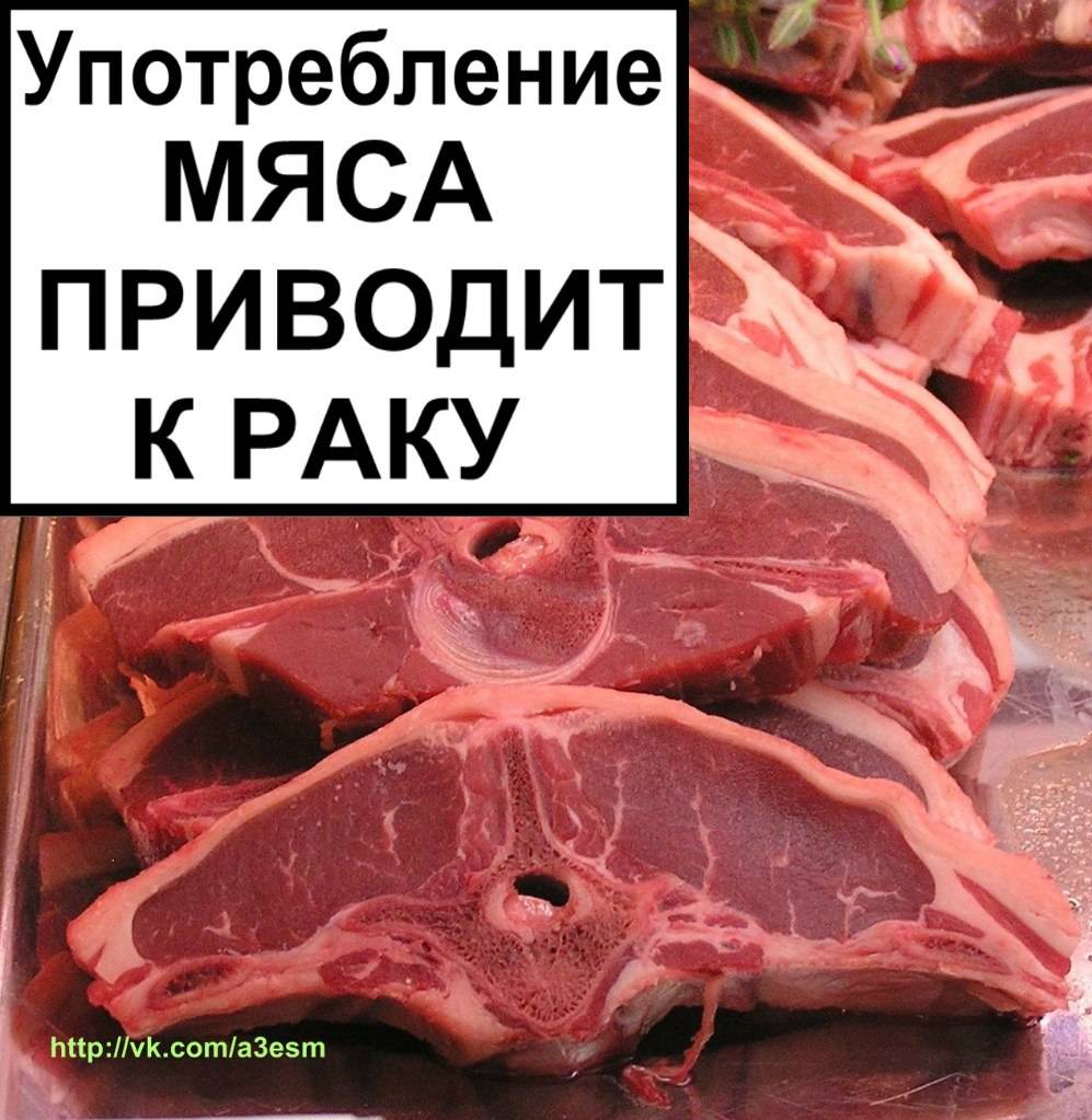 Вред мяса и польза вегетарианства в профилактике онкологических заболеваний | вегетарианский.ru