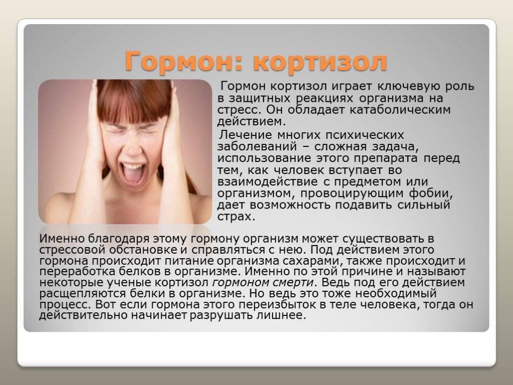 Анализ на кортизол - норма, расшифровка анализа | университетская клиника
