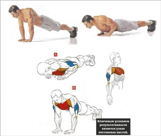Лучшие упражнения для прокачки грудных мышц дома, которые можно выполнять с весом тела или с гантелями