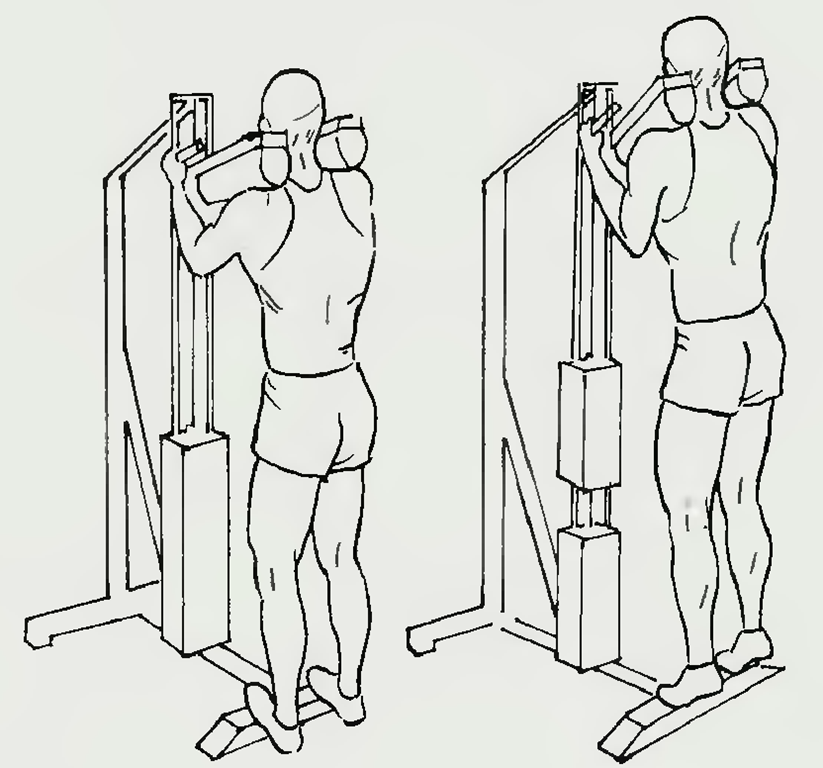 Подъёмы на носки стоя: особенности и техника выполнения упражнения