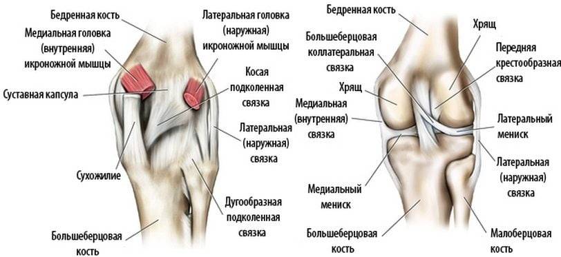 Боль в колене – причины, симптомы, диагностика и лечение