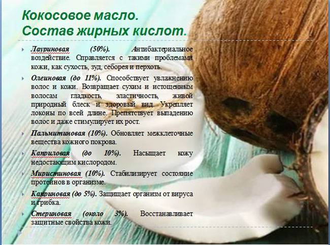 Польза кокосов для организма человека и возможные противопоказания