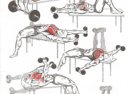 Как накачать грудные мышцы: упражнения для зала и дома