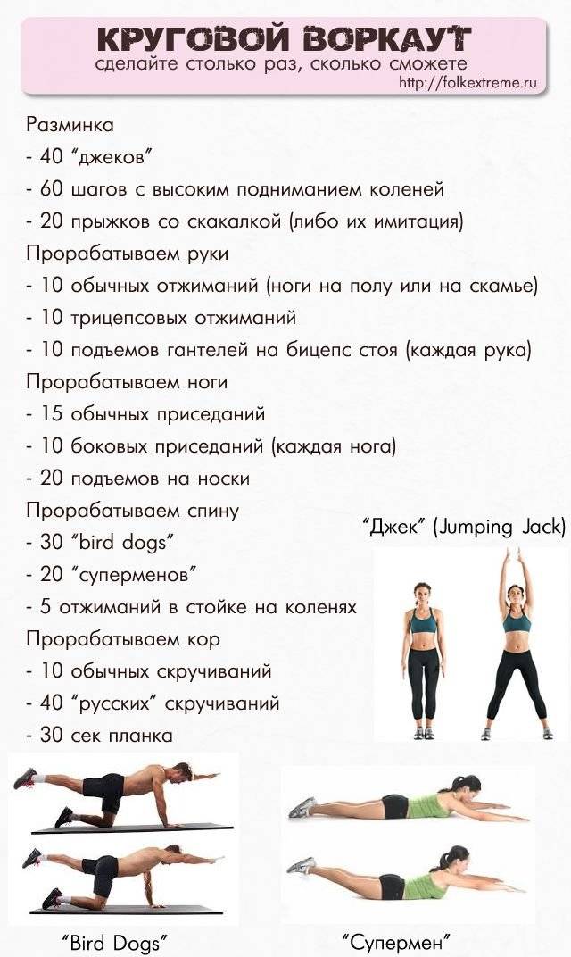 Упражнения и программа кроссфит тренировок для девушек