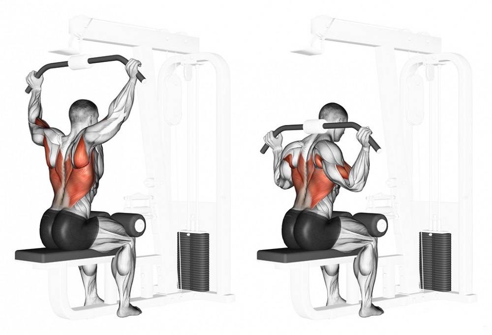 Упражнения на грудные мышцы для мужчин в тренажерном зале