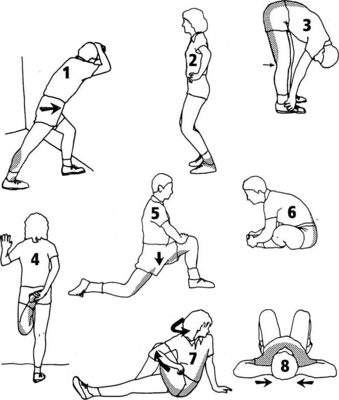 Разминка и растяжка для тренировки ног: 40 упражнений