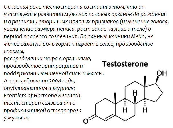Все способы как повысить тестостерон у мужчины