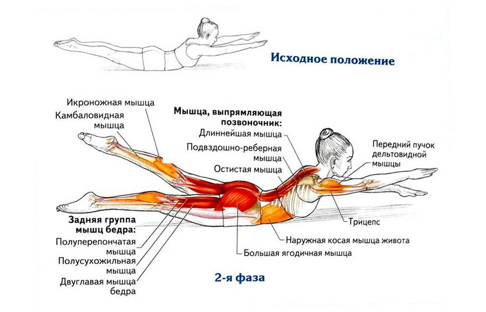Планка на прямых руках: как делать упражнение для красивого тела и подтянутых мышц