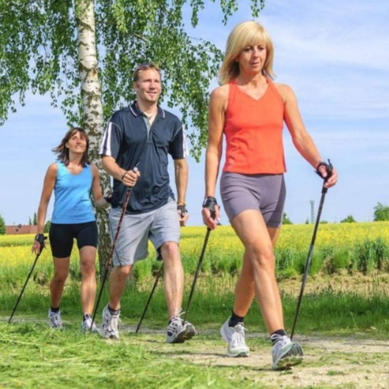 10 лучших палок для скандинавской ходьбы – рейтинг 2022 года