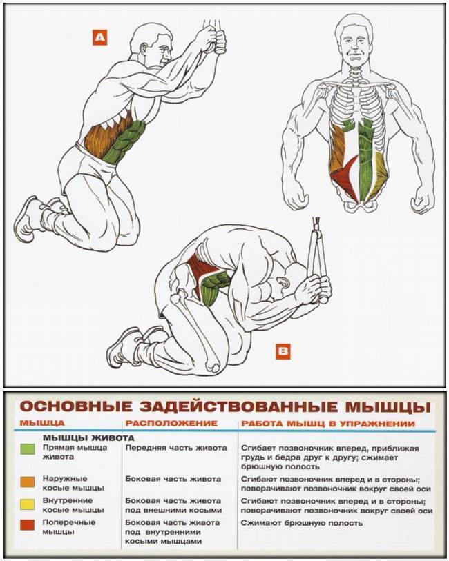 Русские скручивания