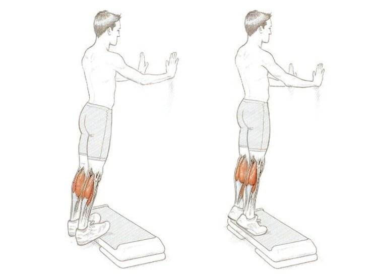 Подъем на носки стоя: техника выполнения в тренажере и с гантелями