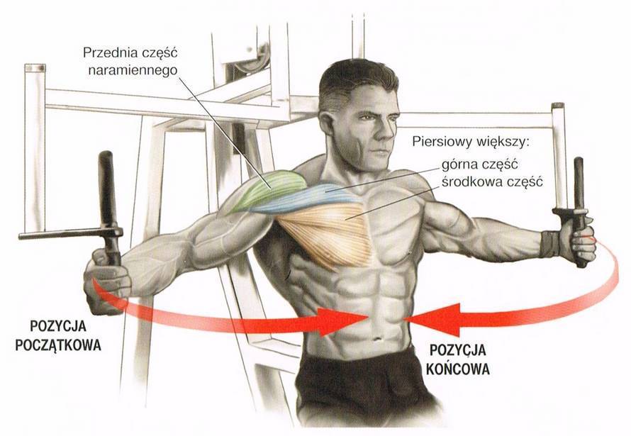 Сведение рук в тренажёре: делаем грудь рельефной | rulebody.ru — правила тела