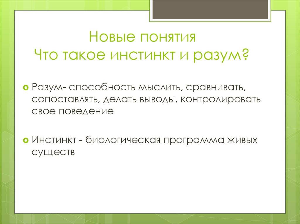 Инстинкт это страх смерти или агрессия по наследству