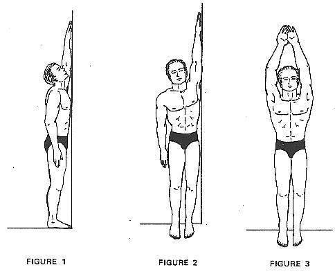 Как увеличить рост человека - упражнения для роста тела в высоту тарифкин.ру
как увеличить рост человека - упражнения для роста тела в высоту