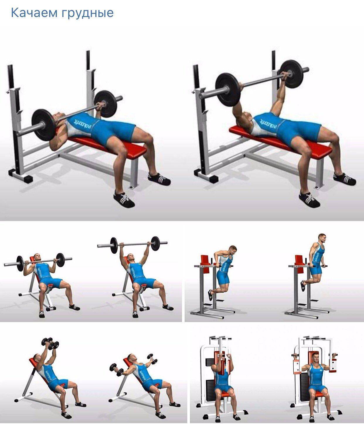 Упражнения на грудные мышцы для мужчин в тренажерном зале