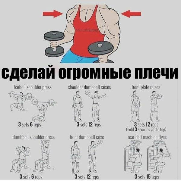 Тренировка плеч. эффективные упражнения на плечи :: syl.ru
