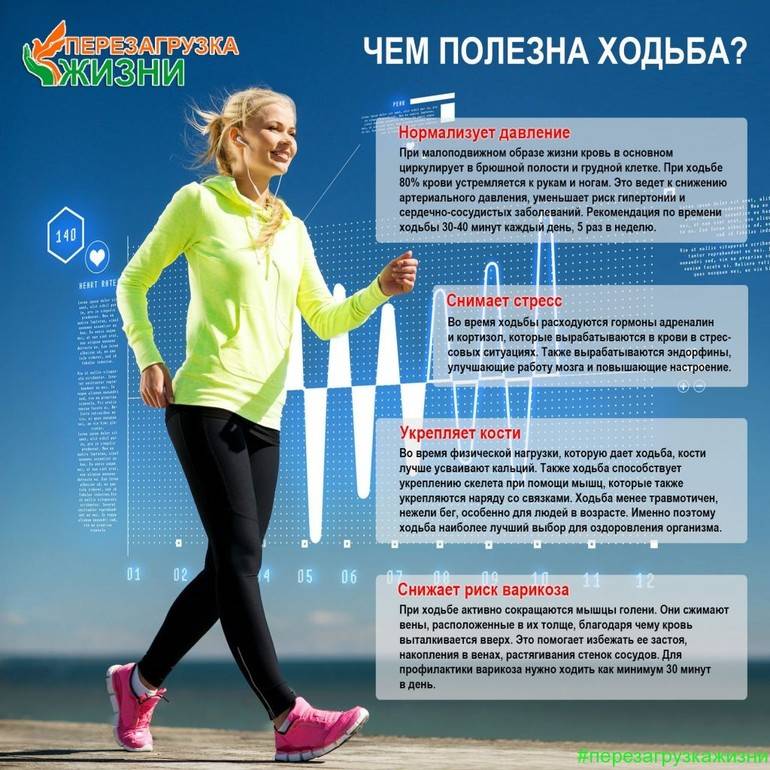 Пробежка: как правильно бегать, как начать бегать регулярно. особенности бега для похудения: утреннего, дневного, вечернего
