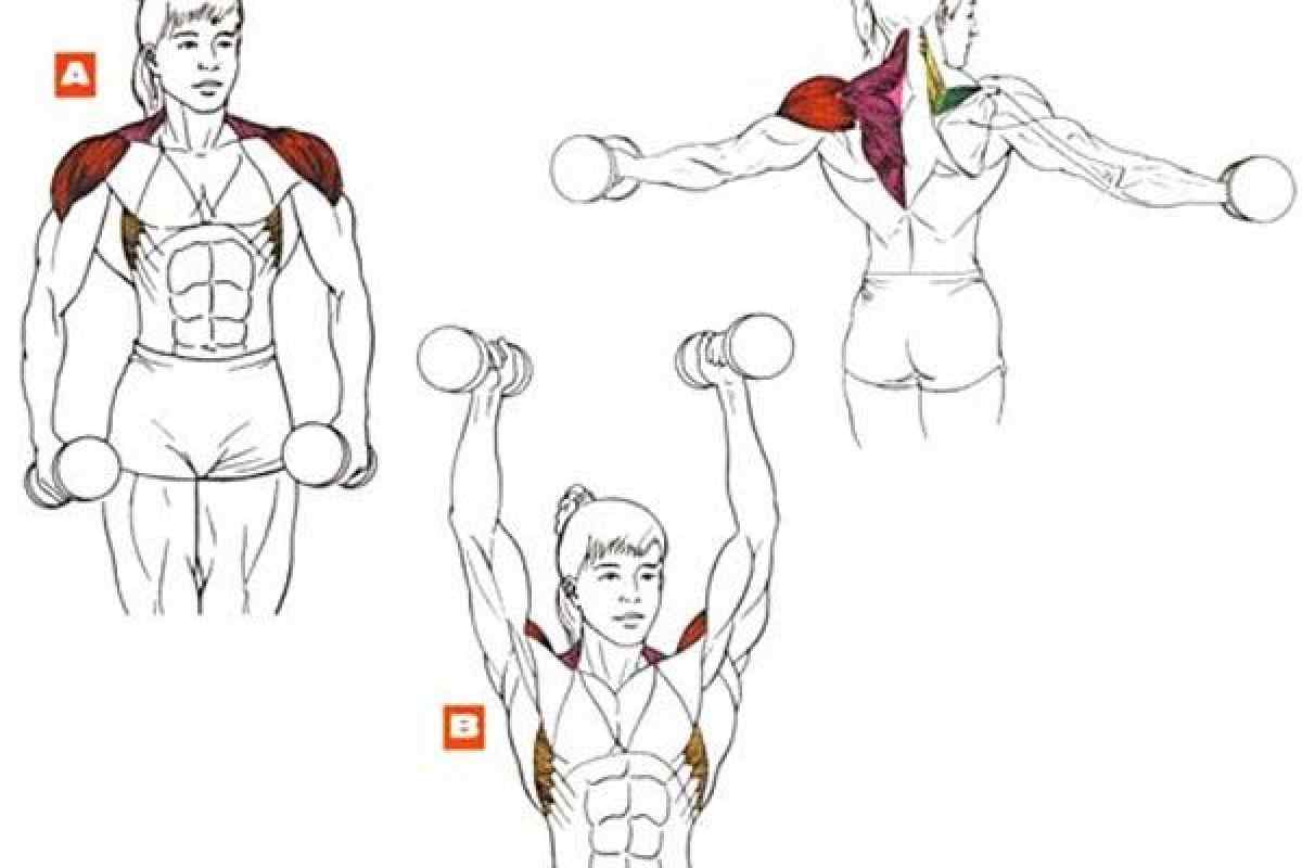 Как накачать дельтовидные мышцы. Дельтовидная мышца плеча упражнения с гантелями.