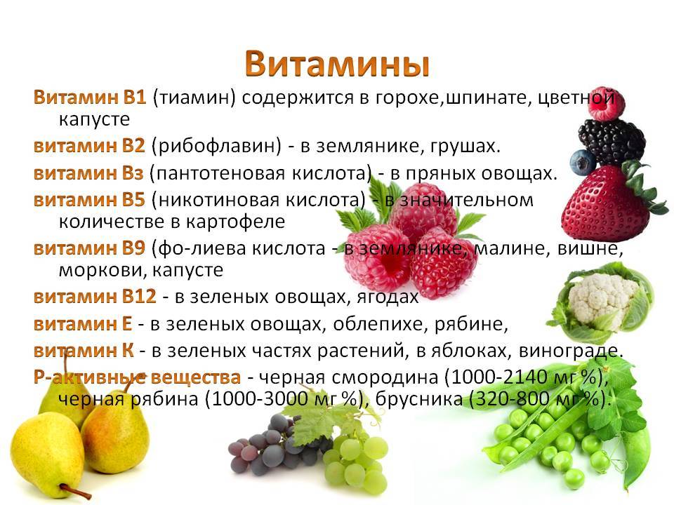 В каких продуктах содержится витамин а (ретинол) - список продуктов - сила здоровья
