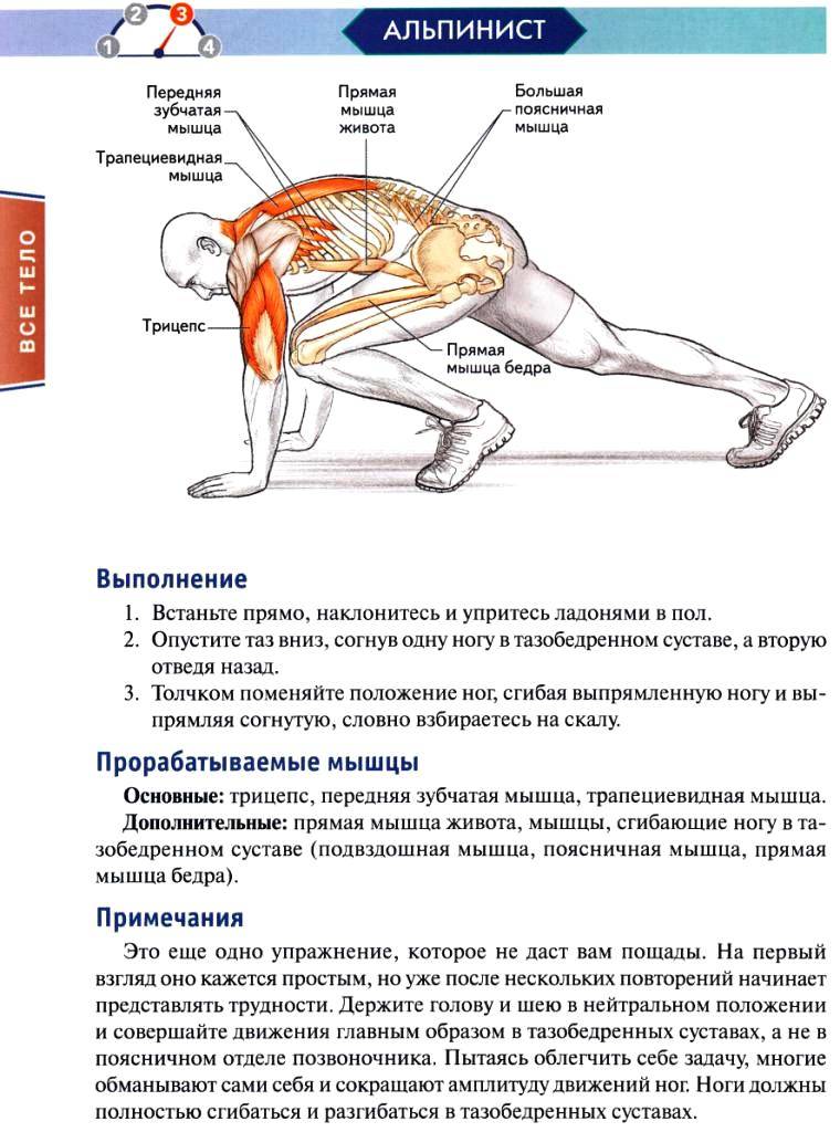 ✅ упражнение для пресса скалолаз - veloexpert33.ru
